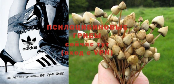 марки nbome Инсар