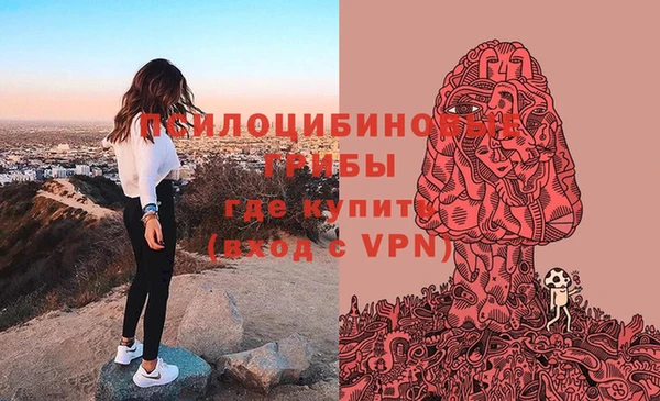марки nbome Инсар