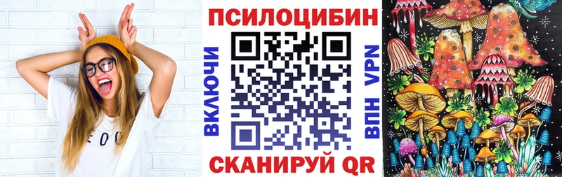 Купить закладки  Чусовой  Галлюциногенные грибы GOLDEN TEACHER 